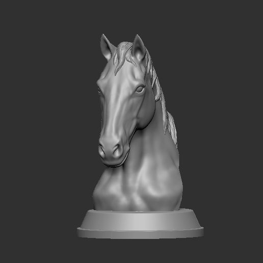 3.jpg horse bust
