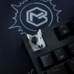 IMG_2831.jpg Bull Terrier Keycap