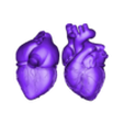 Heart-Coronal.stl Hyperrealistic heart