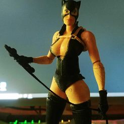 1.jpeg CATWOMAN ARTICULATED FIGURE 1/10 SCALE BUILDING KIT.
