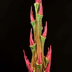 flower02.jpg Бесплатный STL файл Tabletop plant: "Rhododendron Nostril 3" (Alien Vegetation 27)・3D-печатная модель для скачивания