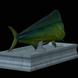 Base-mahi-mahi-11.png fish mahi mahi / common dolphin fish statue detailed texture for 3d printing