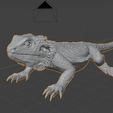 1.png Bearded Dragon 3-D Model