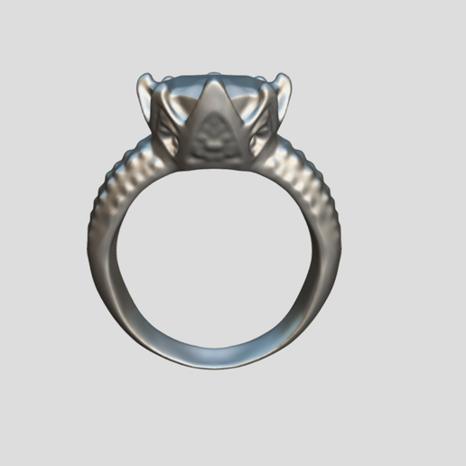 Ring（scanned by Revopoint MINI） 3D model