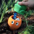 carotte8.jpg Carlo the Carrot Container