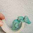 3D-Print-Flexi-Crocodile-Sensory-Toy.5.jpg Flexi Croc
