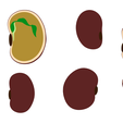 Bean_Color_2.png Anatomy of A Bean Seed