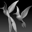 6575870.jpg colibri humming bird