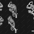 CM.png Chamäleon-Skelett