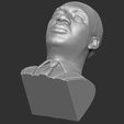 22.jpg Martin Luther King bust 3D printing ready stl obj