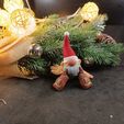photo_2022-12-02_20-36-15-3.jpg STL file FLEXI PRINT-IN-PLACE GNOMES・Model to download and 3D print