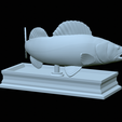 zander-statue-4-mouth-open-35.png fish zander / pikeperch / Sander lucioperca open mouth statue detailed texture for 3d printing