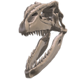 11.png Giganotosaurus skull in 3D