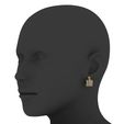 1.jpg Jewelry earrings 3D print model