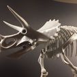 32449114142_e7e8fa58fc_k.jpg Triceratops prorsus Skeleton