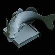 zander-trophy-47.png zander / pikeperch / Sander lucioperca fish in motion trophy statue detailed texture for 3d printing