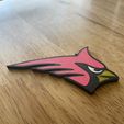 IMG_2179.jpg Cardinal Logo MultiColor