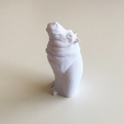 Capture_d__cran_2015-09-01___10.25.15.png Free STL file Cat Hippo・3D printing template to download