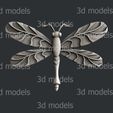 P336-4a.jpg dragonfly set