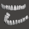 Model-I.png Aesthetic Tooth Libraries