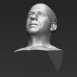 19.jpg Vin Diesel bust ready for full color 3D printing