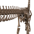 21.png Argentinosaurus : Esqueleto completo