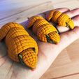 5-IMG_20250329_105311.jpg Articulated Armadillo