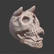 1 (4).jpg Skull skull