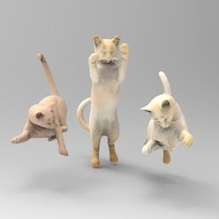 pic3.jpg STL-Datei Drei Katzen Pack 2 herunterladen • Design zum 3D-Drucken, CALAB