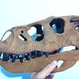 Indoraptor-skull-model-3d-print-26.jpg Indoraptor skull 3d print 30cm