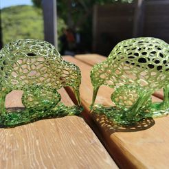 IMG_20191130_122139.jpg Free STL file Kiwi・3D printing template to download