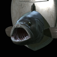 White-grouper-head-trophy-31.png fish head trophy white grouper / Epinephelus aeneus open mouth statue detailed texture for 3d printing