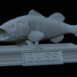 Bass-mouth-2-statue-4-17.png fish Largemouth Bass / Micropterus salmoides in motion open mouth statue detailed texture for 3d printing