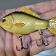Crucian-carp-85mm-5.jpg Crucian carp vibe fishing lure
