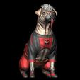 ZGrab04.jpg DOGPOOL