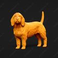 873-Basset_Fauve_de_Bretagne_Pose_02.jpg Basset Fauve de Bretagne Dog 3D Print Model Pose 02