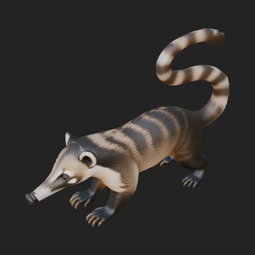 Coati Mundi Statue Design 1 - 3D Print Model