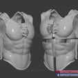 Body_armor_roman_muscle_armor_set_3d_print_file_013.jpg Body Chest Armor - Larp Armor Cosplay - Tiger Roman Muscle Armor 3D Print File