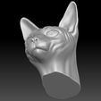 17.jpg Sphynx cat head for 3D printing
