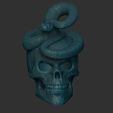 Shop2.jpg Skull with rattlesnake, eyes open