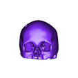 CerebrixSkullFixed.stl Free STL file Cerebrix Human Skull・Object to download and to 3D print
