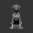 puppy-rhodesian-ridgeback-sitting9.jpg Puppy rhodesian ridgeback sitting 3D print model