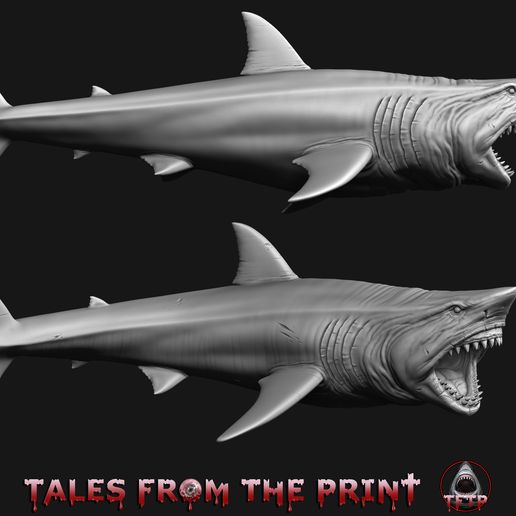 Great-white-shark-megalodon-3-Tales-from-the-print.jpg 鲨鱼--巨齿鲨--大白鲨套装--单件和多件版 品质卓越，由 Tales from the print 提供