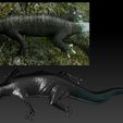 reference.jpg Shadow of the Colossus  White-tailed Lizard