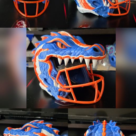 Florida Gators