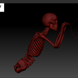 3.png Skeleton Cable Buddy – Articulated 3D Printed Cable Protector