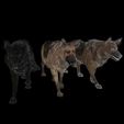 022B.jpg DOG DOG DOWNLOAD German Shepherd 3d model animated for blender-fbx-unity-maya-unreal-c4d-3ds max - 3D printing DOG DOG DOG WOLF POLICE PET HUNTER RAPTOR