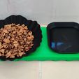 IMG_20240414_112454.jpg Stylish Cat Food and Water Bowls with Base Frame