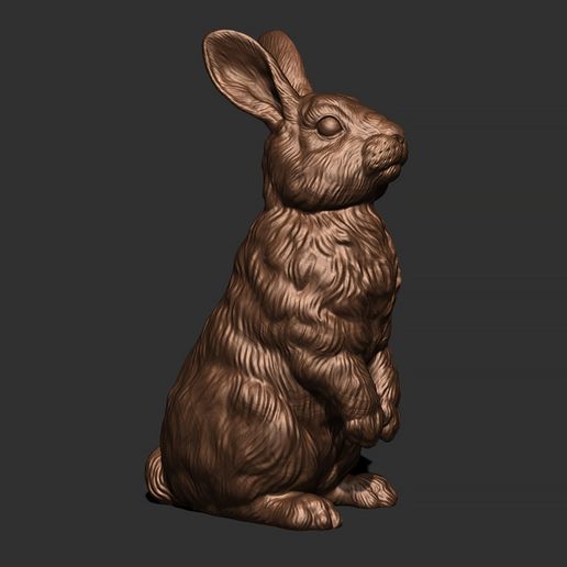 STL file Rabbit bunny・3D print design to download・Cults