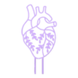 heart trellis anatomy.stl Anatomical Heart Trellis